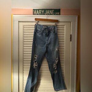 Wild Fable Light Blue Denim Jeans